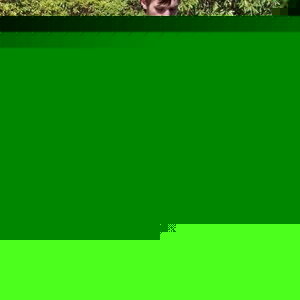 Profile Picture of Matthew Gabrielli (@107710702) on Myspace