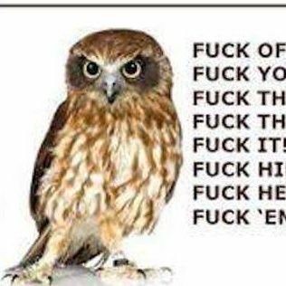 Jess Manfredi - Twitter Profile Picture of Jess Manfredi (@JessManfredi) on Twitter