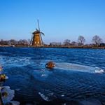 Profile Picture of Shek Wong (@shek.wong.372) on Instagram