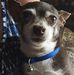 Profile Picture of Kenneth Berryhill (@kenneth.berryhill.311) on Facebook