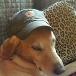 Profile Picture of David Auclair (@dauclair1) on Instagram