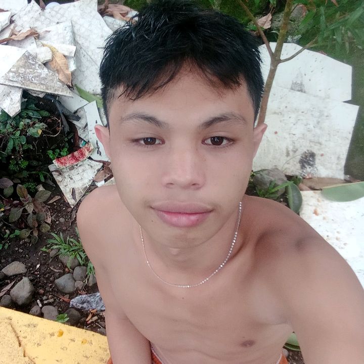 Profile Picture of 1234567890 (@markfruta) on Tiktok
