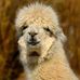 Profile Picture of Scot Salvo (@scot.salvo.5) on Facebook
