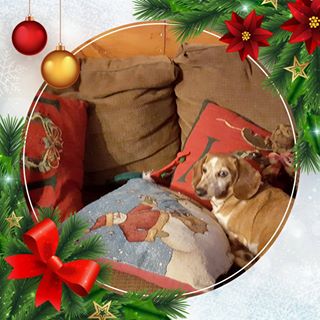 Profile Picture of Patrica Darlene Smith (Darlene) (@patrica.smith.399) on Facebook