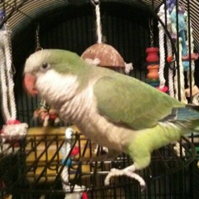 Profile Picture of Dena Earnest (@LaGail45) on Twitter