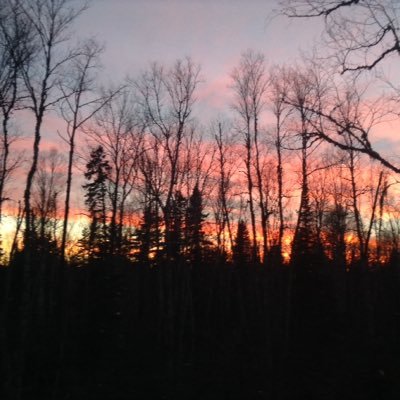 Profile Picture of Brandon Goulet (@Kidcool1996) on Twitter