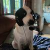 Profile Picture of Jake Tuttle (@@milkshakejake96) on Tiktok