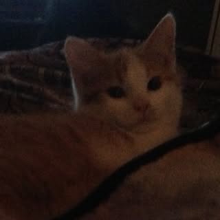 Profile Picture of Jeffery (@jeff_cheak) on Instagram