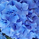 Profile Picture of Kim Spryszak (@kimspryszak) on Instagram