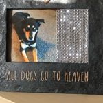 Profile Picture of James Baldridge (@ma_name_james_b) on Instagram