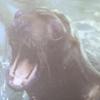 Profile Picture of lukegerbert (@@arcownuke) on Tiktok