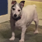 Profile Picture of Nicholas Belcher (@nicholasbelcher8803) on Youtube