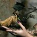 Profile Picture of Terry Narron (@terrynarron) on Pinterest