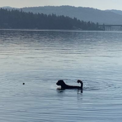 Profile Picture of Mike Mulcahy (@MikeMulcahy16) on Twitter