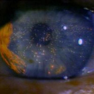 Profile Picture of Fernando Leandro (@fernandoleandro) on Twitter