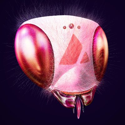 Profile Picture of daalfs.Swarms 🔺 (@AalfsDavid) on Twitter