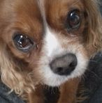 Profile Picture of Toby Smart (@toby.smart.792) on Facebook