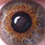 Profile Picture of The Shads (@the shads) on Flickr