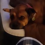 Profile Picture of Chasity Huff (@chasity.huff.988) on Instagram