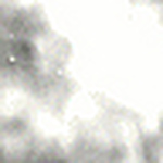 Profile Picture of rose silva (@star1662) on Flickr