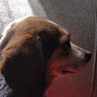 Profile Picture of Andrew Pentland (@andrew-pentland-4) on Quora