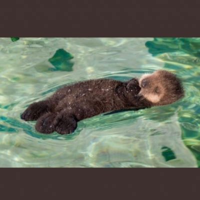 Profile Picture of Mike Roberta (@MikeRoberta) on Twitter