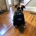 Profile Picture of David Hession (@david.hession.54) on Facebook