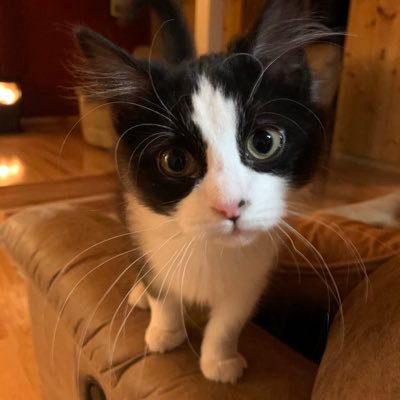 Profile Picture of JanetHutton (@HuttonJhutton) on Twitter