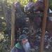 Profile Picture of Howard Castle (@howard.castle.7) on Facebook