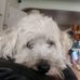 Profile Picture of Daniel Tai (@daniel.tai.587) on Facebook