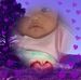 Profile Picture of Daniel Babel (@daniel.babel.35) on Facebook