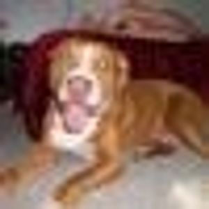 Profile Picture of Tanya Thomas (@203940378) on Myspace
