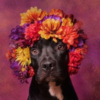 Profile Picture of Ryan Jace Kreuscher (@ryan-jace-kreuscher) on Quora