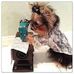 Profile Picture of Michele Fetter (@michele.fetter.75) on Facebook