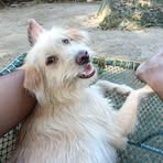 Profile Picture of Jung Yuri Lagrosa (@jungyuri.laodeniolagrosa) on Facebook