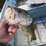 Profile Picture of lip_ripper💯🔥 (@daniel_martin82) on Instagram