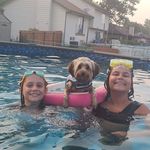 Profile Picture of Lori Peltier (@lrprn) on Instagram