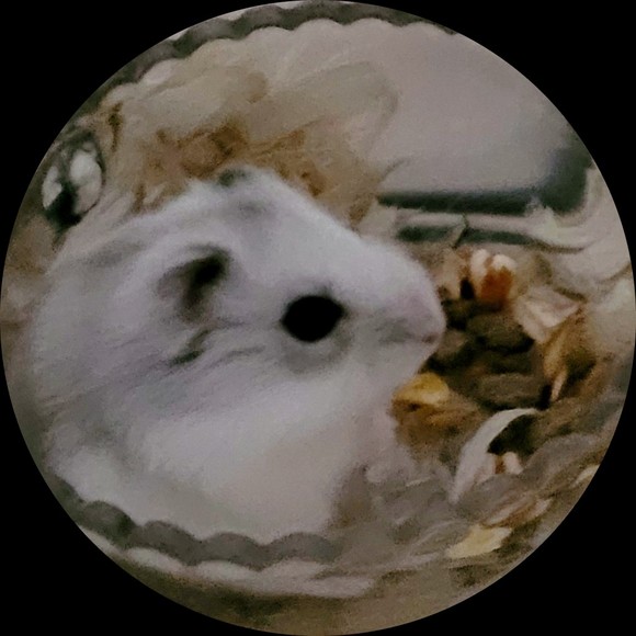 Profile Picture of Tonia Yip (@t_yip) on Poshmark