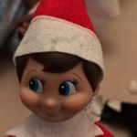 Profile Picture of Jeff The Elf (@carols_elf) on Instagram