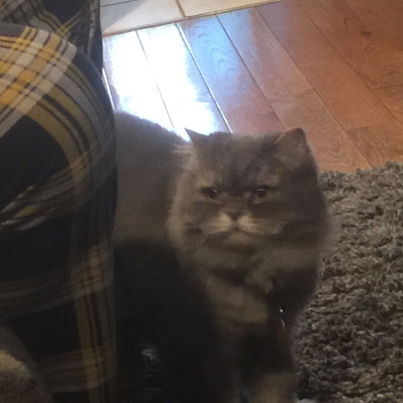 Profile Picture of Mya Rivera (@riveranmya) on Poshmark