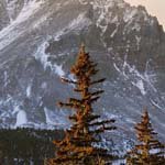 Profile Picture of Neil_Haynes (@neil_haynest) on Instagram