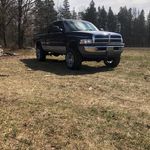 Profile Picture of steve (@steve_scheerer) on Instagram