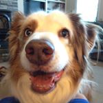 Profile Picture of Will Cooley (@wcooley06) on Instagram