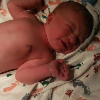 Profile Picture of Carol Maciejewski (@maciejewskicarol) on Instagram