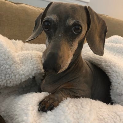 Profile Picture of Brent Jones (@PolemicPoleAx) on Twitter