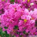 Profile Picture of Wanda Stokes (@pauline_lacolor) on Instagram