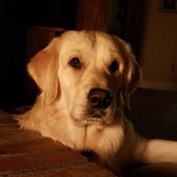 Kenton Earnest - Quora Profile Picture of Kenton Earnest (@kenton-earnest) on Quora