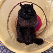 Profile Picture of Greg Grasso (@GregGrasso) on Youtube