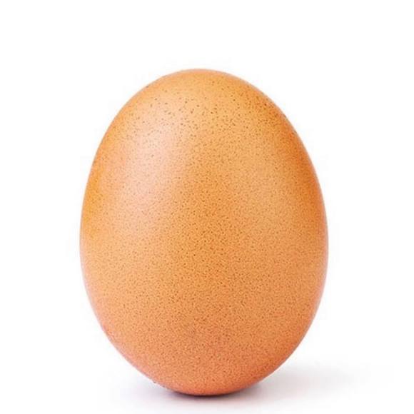 Egg Egg - Poshmark Profile Picture of Egg Egg (@eggonlinestore) on Poshmark