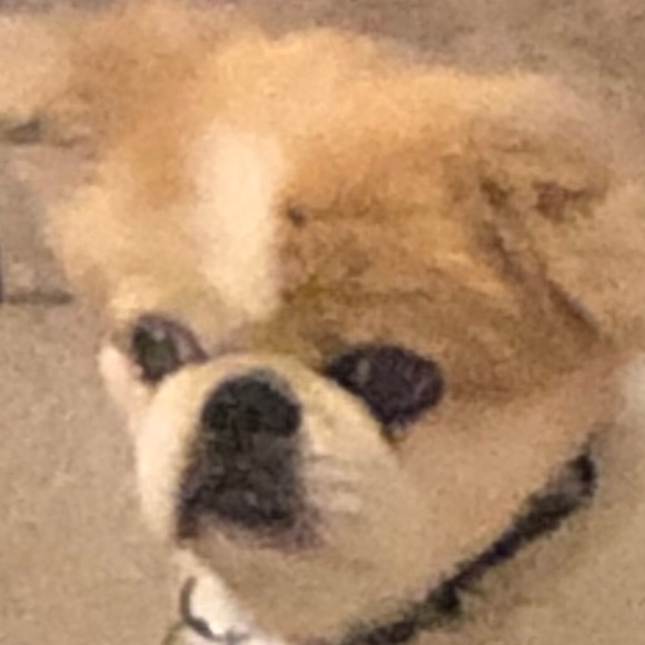 Profile Picture of David Painter (@david_painter) on Poshmark